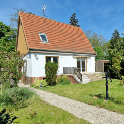 Großes grünes Grundstück