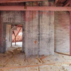 Dachrohling in Berlin - Friedenau